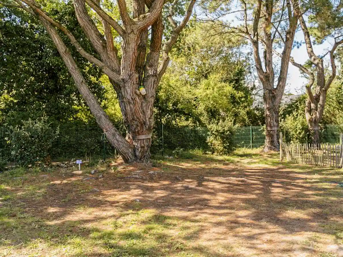 emplacement nu camping paimpol